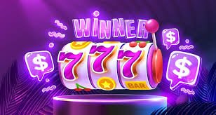 win44 win44